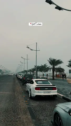 جمال البصرة🔥#شتاء #ضباب #البصرة #كورنيش_شط_العرب #تصويري📸 