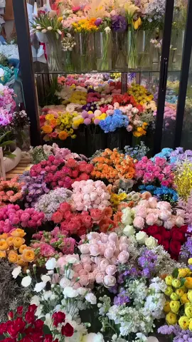 Flowers 💐✨ #reels #fyp #sunset 