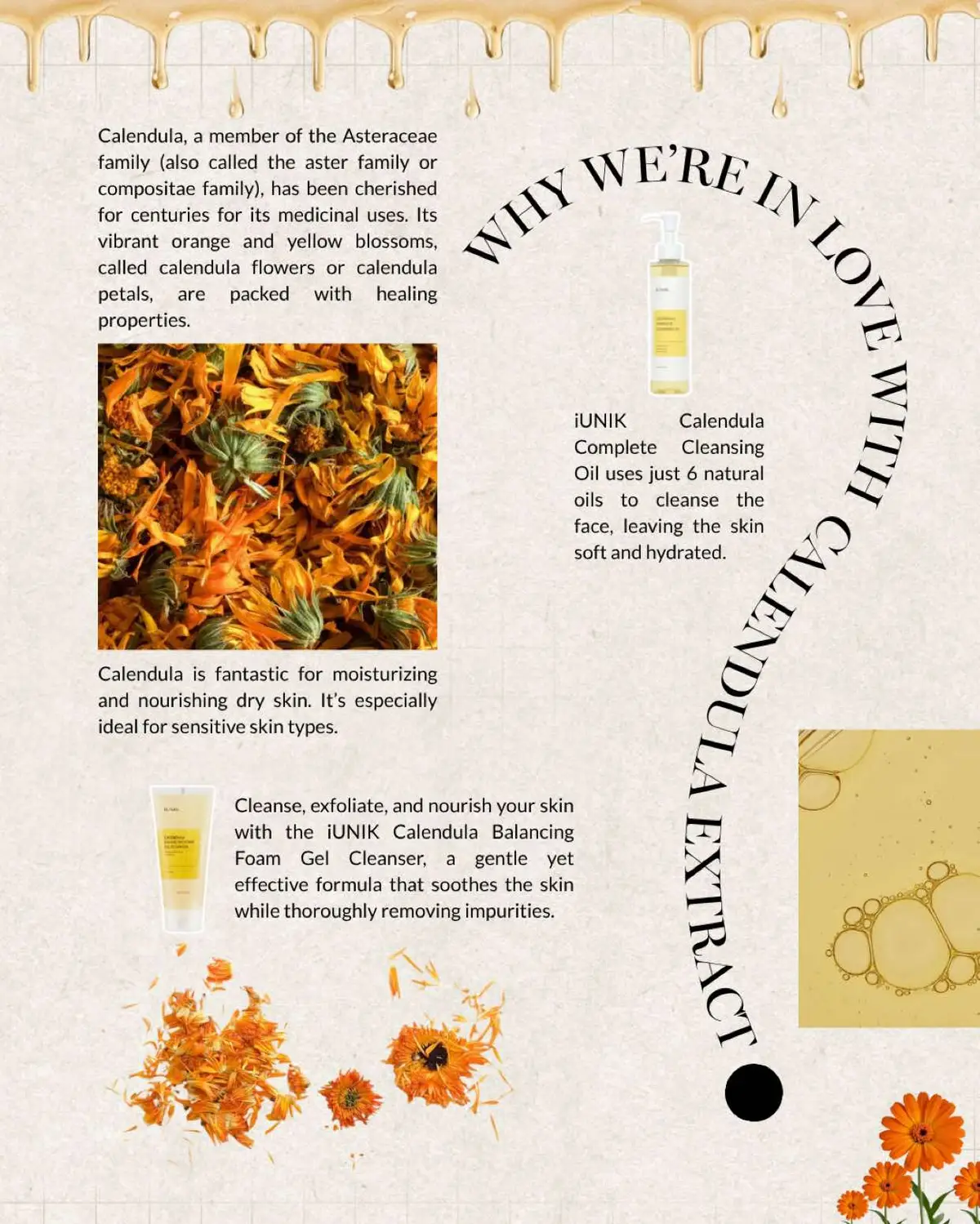 Gentle, soothing, and oh-so comforting, this flower-powered ingredient brings calm, hydration & that fresh, healthy glow your skin dreams of 🫧 A little golden magic in every drop 🌼 #korean #littlewonderland #kbeauty #skincareroutine #koreanbeauty #skincare #calendula #calendulaglow 