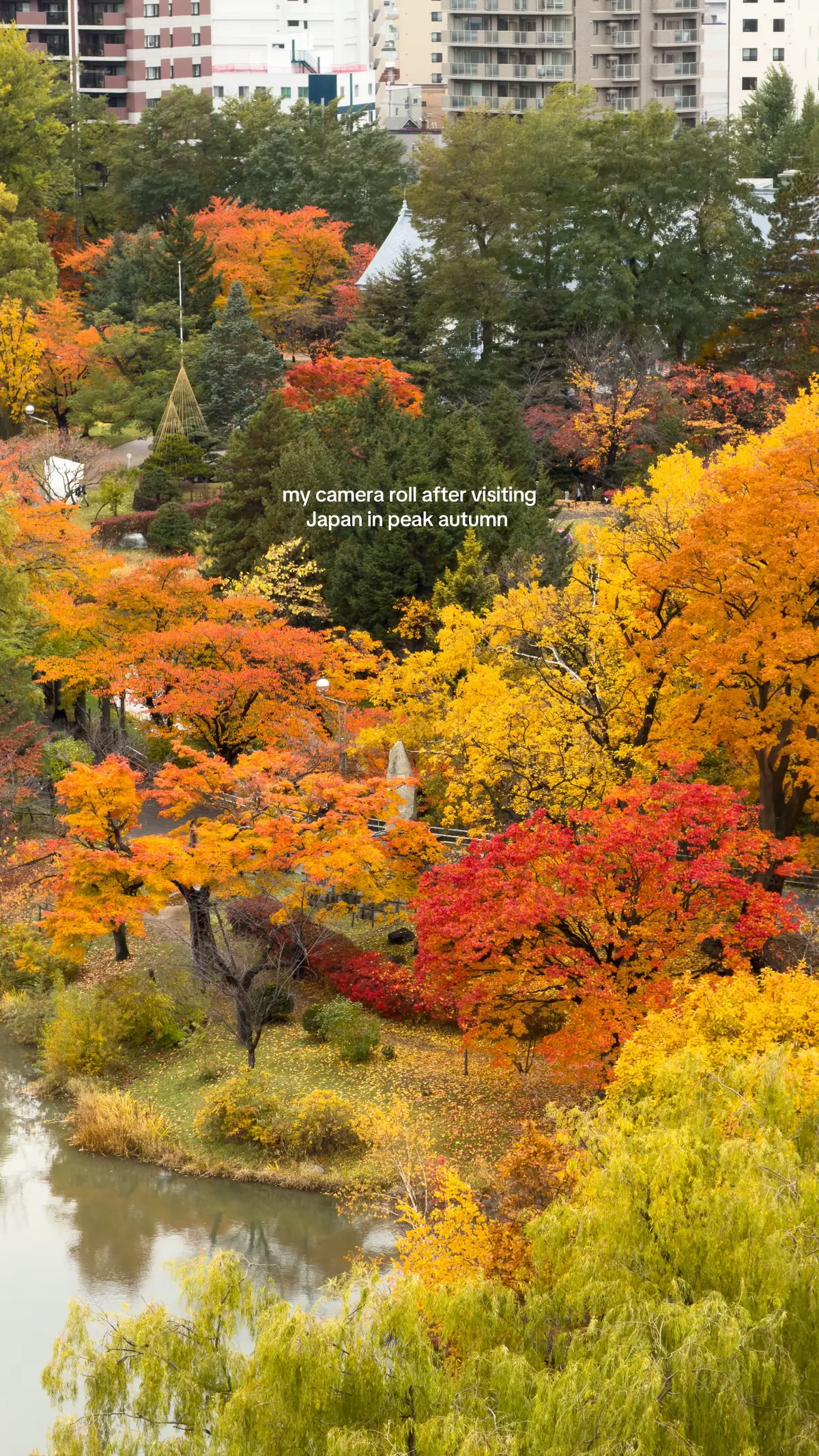 #japan #aomori #sapporo #tokyo #fuji