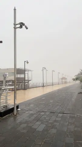 أجواء البصرة صباح اليوم✨🤍#محمد_لطيف #البصرة 