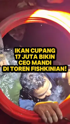 Ikan cupang 17 juta bikin CEO mandi  di dalem toren fishkinian malem malem?! #fishkinian #ikancupang #bettafish #cupanghias #cupangindonesia