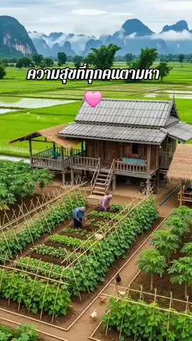 #บ้านนา #ชีวิตสโลว์ไลฟ์ #บ้านสวนปลายนา #Home #อีสาน 