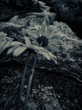 #CapCut #dianastemplate #foryou #fypage #fyp 