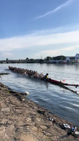 แชมป์55ฝีพาย สนามพิมาย#เทพนรสิงห์88 #สิงห์บางพระนอน #ปุ้ยประดาทอง #แก๊งเสื้อม่วง 