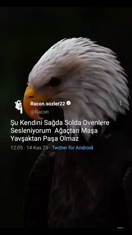 #CapCut #keşfet #fyp #CapCut #tiktok 