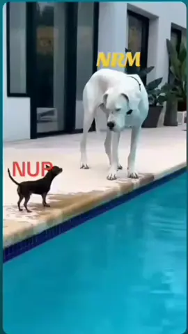 🤣🤣🤣🤣🤣🤣🤣🥱🥱🥱🥱🥱🥱