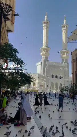 اللهم صلى وسلم وبارك على نبينا محمد وعلى اله.  وصحبة. اجمعين