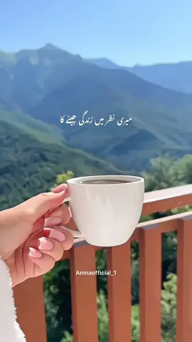 #viral #fyp #amnaofficial_1 #viralvideos #unfreezemyacount 