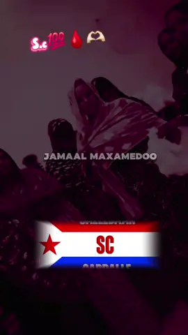 #fyp #somalitiktok #xidigtagolol #video @X A A W O   D E G A N ✪ 