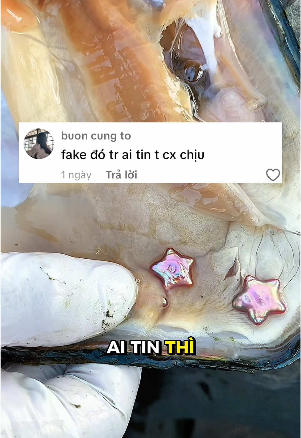 Bán ngọc trai thật 6 năm và cái kết #ngoctrai #pearlfarm #vongtay 