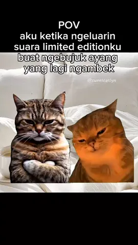 jgn ngambek lagi ayang #memekucing #catmeme 
