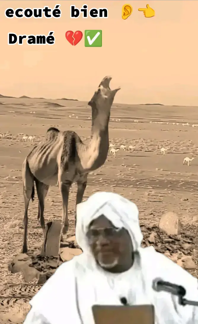 #haidara🤍☪️☝🏾🔐 