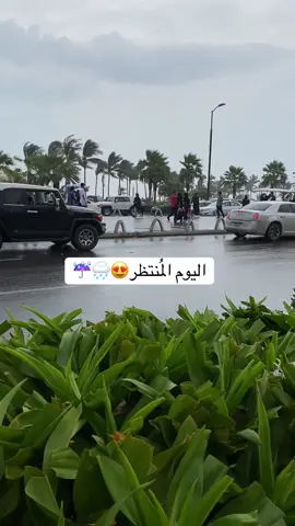 الصوت الأحب لقلبي🌧️☔️ #امطار_جده #مطر #اكسبلورexplore #fyp #fypシ゚ 