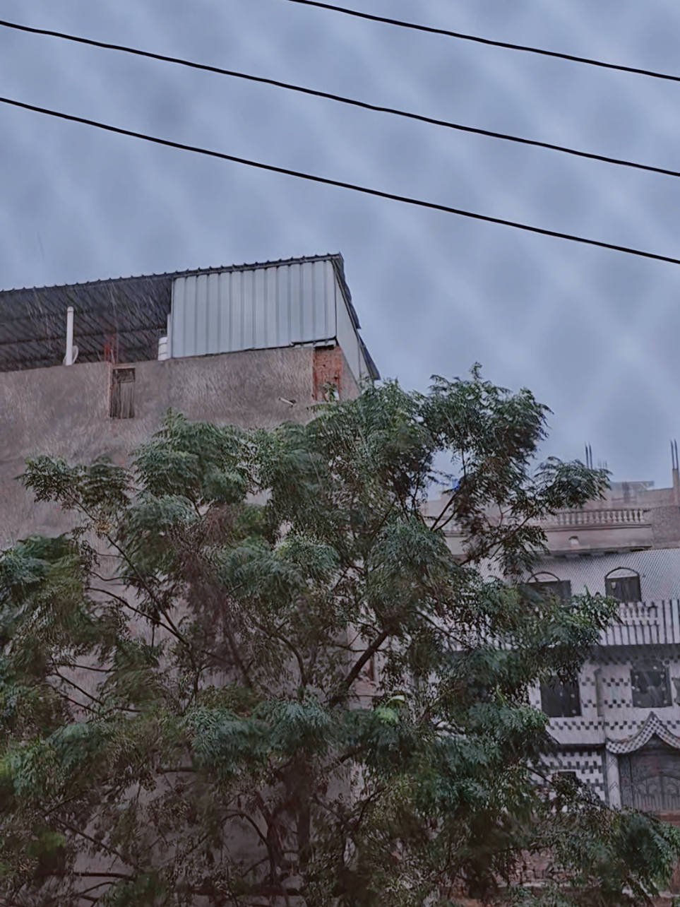 الجُمعة | ١٤ نوفمبر ٢٠٢٥🤍🌿 #مطر #شتاء #نوفمبر #يوم_الجمعه #fyp 