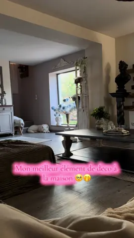 Mieux que @Maison du monde 🤭 #fypp #husky #dogs #doglovers #decor 