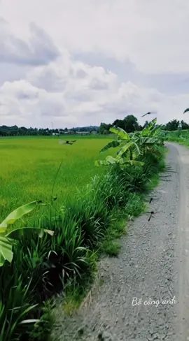 Ước gì thời gian như ngừng lại ở đây, mọi lo toan bỗng hóa hư không.   #canhqueyenbinh #chill #vietnam #boconganh #foryou 