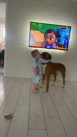 funny dog #foryou #viral #fyp #funnyprank #funnydog