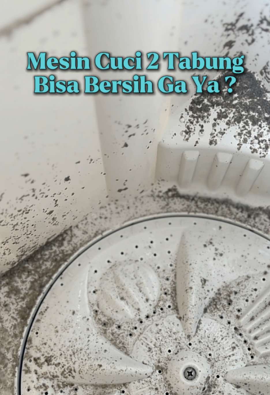 Replying to @Ninutt mesin cuci mimin ini juga 2 tabung ya kak 😇 #wiselieindonesia #pembersihmesincuci #mesincuci #washingmachine #promoguncang1111 