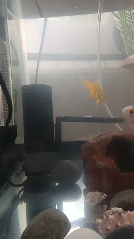 #اكتب_شي_توجر_عليه #CapCut  #ذكر_فإن_الذكرى_تنفع_المؤمنين  #foryoupage #fypシ゚viralシ 