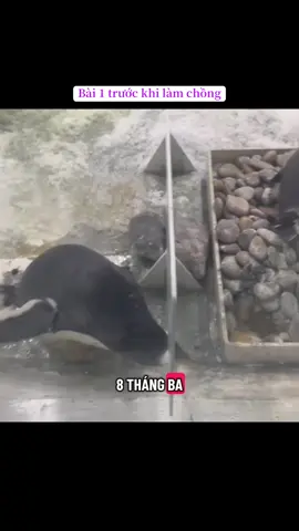 Ăn cắp chính những đồng tiền mình làm ra