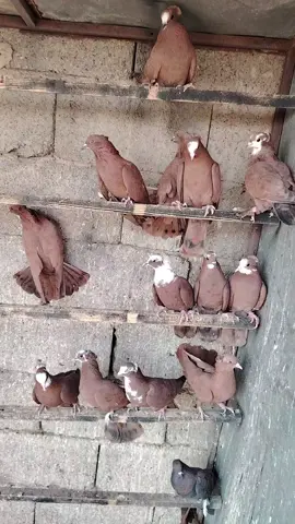 #متاح #تفاعلكم✨🍂 #تفاعلكم_لايك_متابعه_اكسبلوررررراexplore 