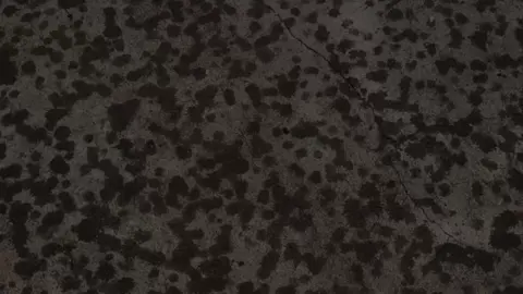 #foryou #foryoupage #fyyyyyyyyyyyyyyyyyyyyyyyyyyyyyyyyyy #fypシ゚ #foryou 