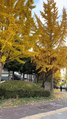 #🍁🍂🍁🍂🍁🍂🍁🍂🍁🍂🍁🍂 