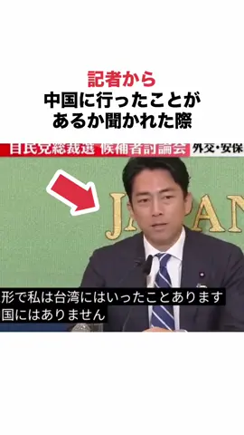 【日本一良い波に乗る男、覚醒した小泉進次郎】 #小泉進次郎 #政治 