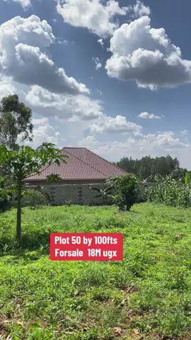 Plot 50 by 100fts Forsale location Gayaza road in kalagala Dundu { Agreement } 