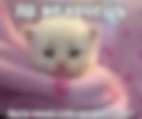 Любовь — это глубокая привязанность и сильное чувство к другому человеку, сопровождающееся желанием быть рядом, заботой и поддержкой. Это может быть смесь влечения, интимности (близости и понимания) и обязательств, которые помогают отношениям выдерживать трудности и расти вместе. В широком смысле, это широкий спектр позитивных и сильных эмоциональных состояний #любовь #рекомендации