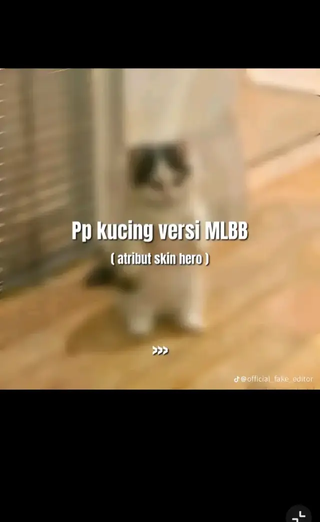 #kucing #fyp #mlbb #bismilahfyp#ppmlkece 