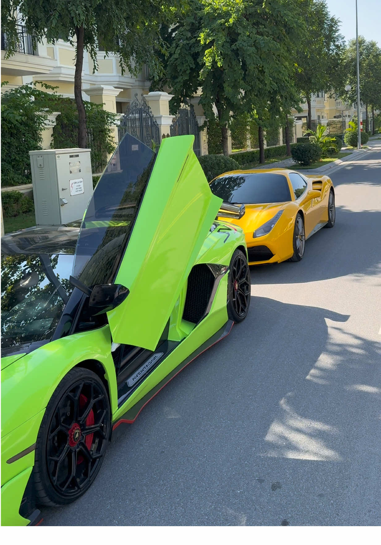 Một ngày bình thường như bao ngày #duocauto99 #phongbattrongoi #lamborghini #ferrari 