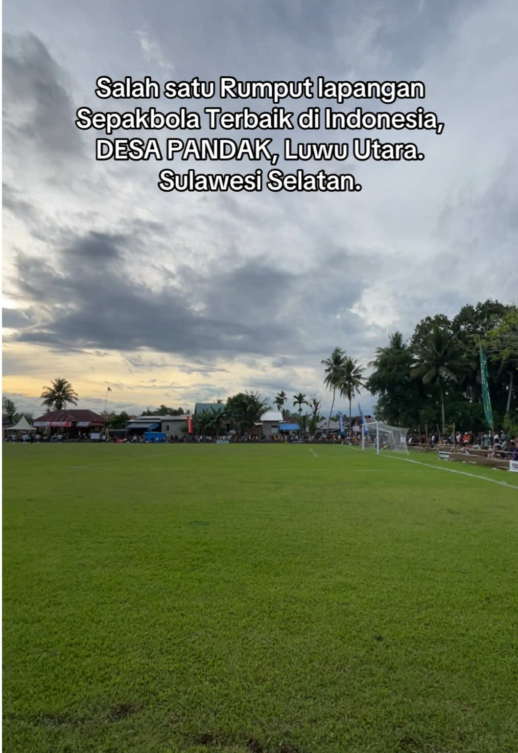 Rumput Terbaik Lapangan Sepakbola Desa Pandak, Sulawesi Selatan. #sepakbola #pssiindonesia #desapandak #luwuutara 