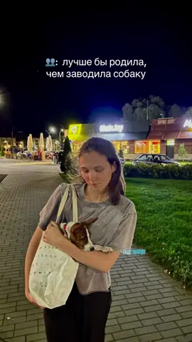 #басенджи #basenji #собаки #щенки #щенкибасенджи 