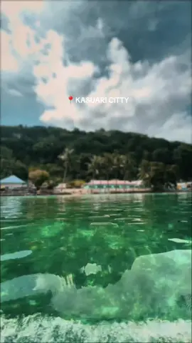 kasuari kampung halamanku #fypppp #viralvideo #jangkauanluasfyp #malukubutonese 