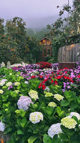 Như thế này có gọi là bình yên không nè.. #dalat #thenhthangcoffee #tiemcaphethenhthang #reviewdalat #binhyen 