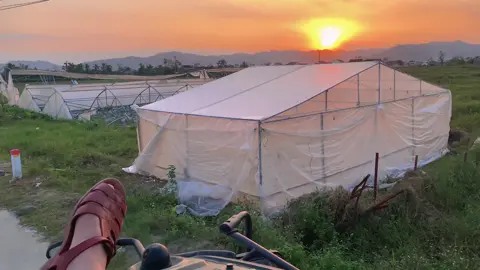 68 cái hoàng hôn nữa thôi các đồng chí😝#xh 