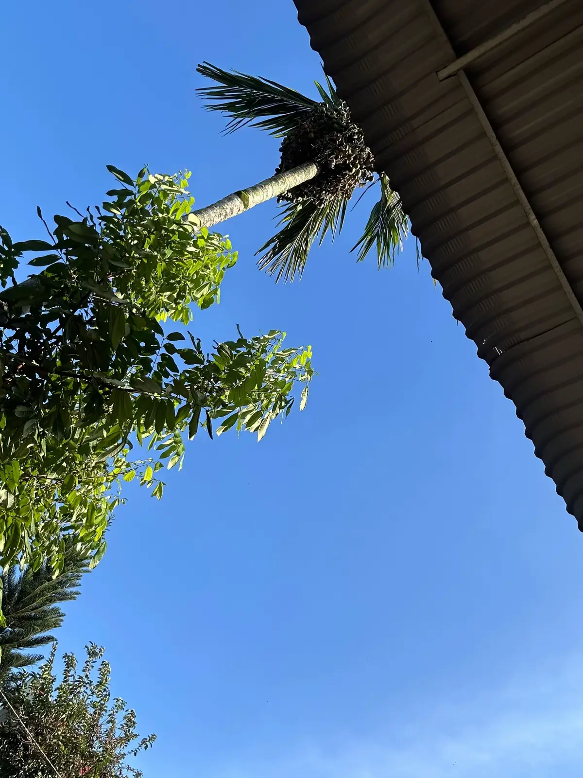 #ilovetiktok #daknong #thang11cuaminh 