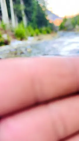 الحمدلله على كل شيء 🫶#foryoupage❤️❤️ #الشعب_الصيني_ماله_حل😂😂 #explore #اكسبلور #fyp 