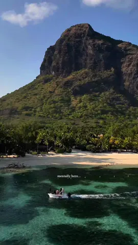 Mauritius 🌺🌞🌴🐢🇲🇺 #mauritius🇲🇺 #bucketlist #travel #paradise #lemorne
