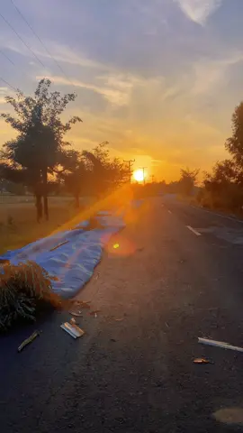 บุรีรัมย์หนาวแล้วเด้อ#เทรนด์วันนี้ #ฟีดดดシ #อีสานบ้านเฮา #วิวบ้านนอก🍃 #บรรยากาศดี 