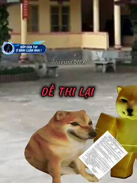 Thi xong 🗿 #trieuroblox #meme #hai #cheems #xh 