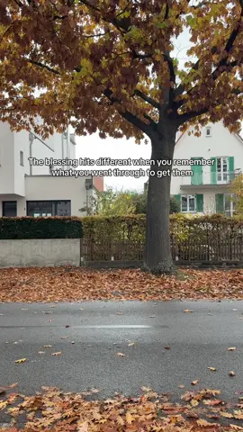 🥂 #fyp #foryou #pakistaniingermany🇵🇰🇩🇪 #overseaspakistani #motivationalquotes 