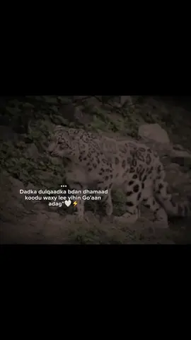 🔥🤍 #videoviral #Z4ck..15