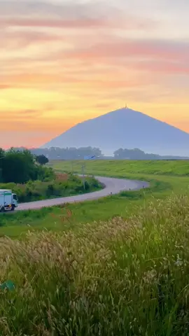 Mùa cỏ lau lại đến rồi🍀 #xuhuongtiktok #fyp #xuhuong #nuibaden #tayninh 