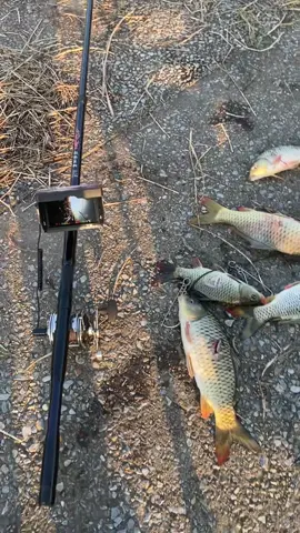 Em camera câu cá 2 hôm nữa về hàng Các bác đợi em để sở hữu bộ cần câu camera  Phượng Hoàng Chí Tôn nhé Lh em Tống Giang # @961928658