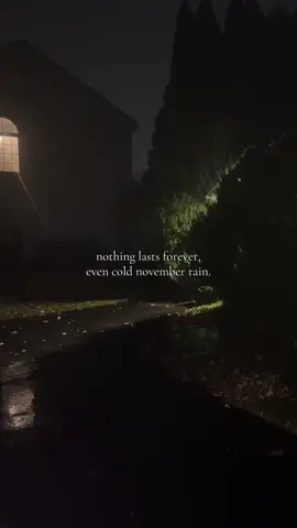 november rain woohoooo #fyp #rocknroll #goviral #gnr  #novemberrain 