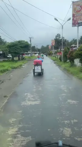 mangkat cuss ngetan  #pesonagondanglegi #horegjawatimur #horegmania_official 