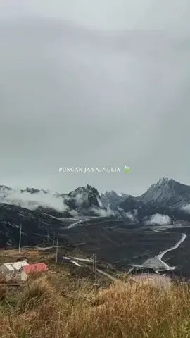 🍃🏔️ #puncakjaya  #pegunungan  #brimobuntukindonesia  #fyppppppppppppppppppppppp 